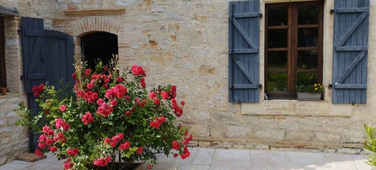 加里格领域(Domaine les Garrigues)图片