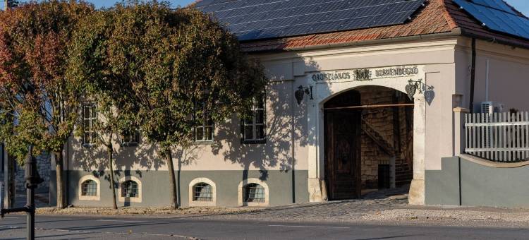 巴尔卡画廊酒店和餐厅(Barka Galéria Hotel és Étterem)图片