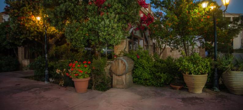 阿南塔蓝色公寓(Ananta Blue Residence)图片