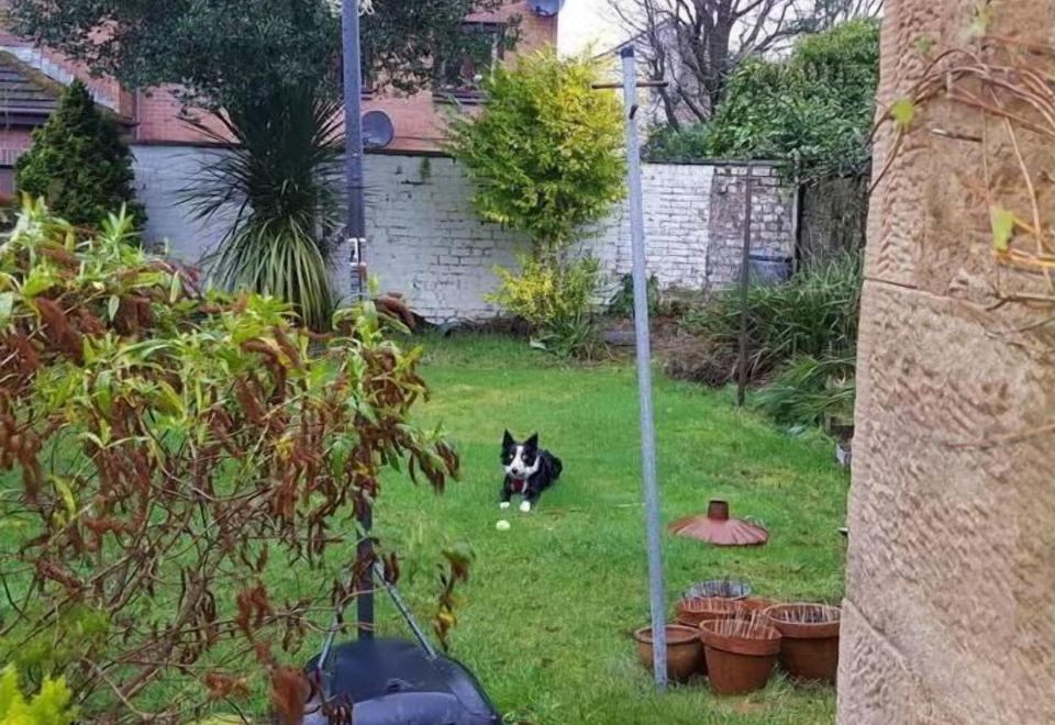 Snug - Fountain Bank ApartmentHotel Overview