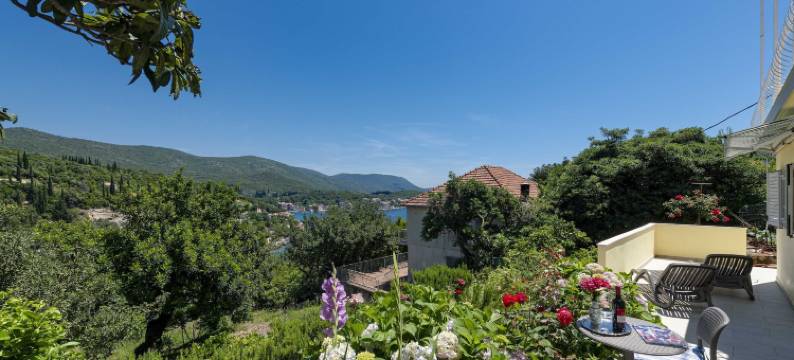 玫瑰客房旅馆(Guest House Rooms Rose)图片