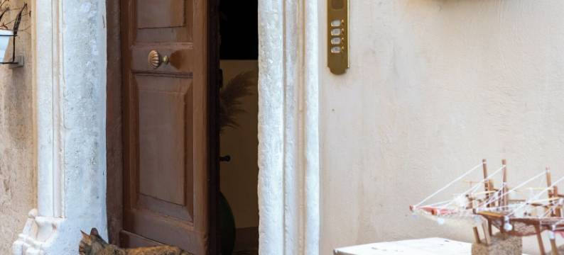 唐娜维娜兰达(Donna Veneranda)图片