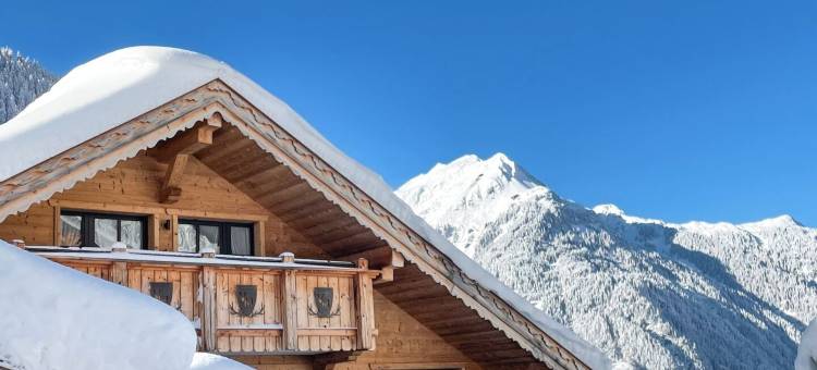 维尔玛拉酒店(Genusshotel Vermala Montafon)图片