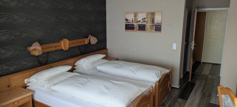 奥登瓦尔德布里克酒店(Hotel Odenwaldblick)图片