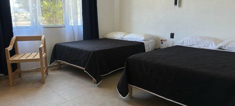 卡米诺斯酒店(Hotel Caminos)图片