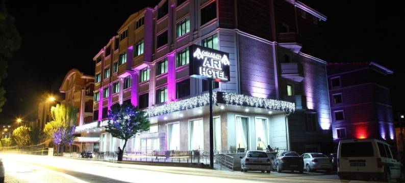 大空气酒店(Afyon Grand Arı Hotel)图片