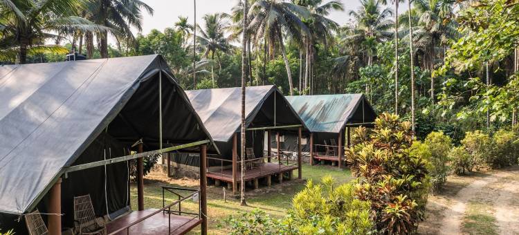 Amritara河边豪华帐篷(Amritara Riverside Camp)图片