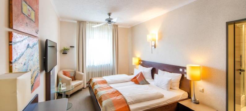 斯坦酒店(Hotel Stein - Schiller's Manufaktur)图片