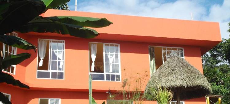 特纳瑙伊旅舍(Hostal Tena Ñaui)图片