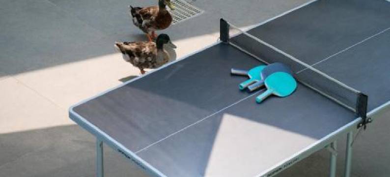 Vintage Balcony Guesthouse图片