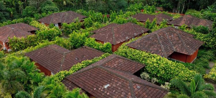 四叶草假日村(Clover Holiday Village Coorg Resort by Voye Homes)图片