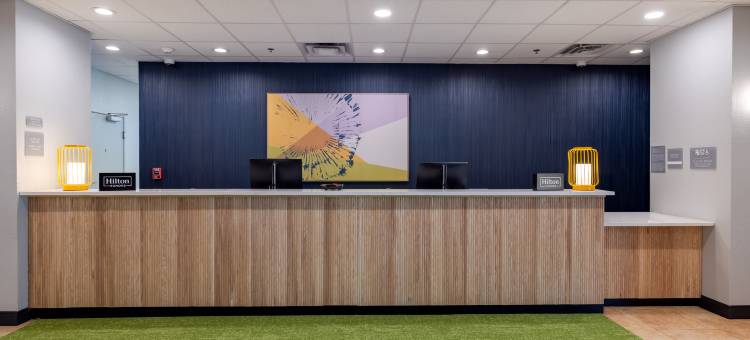 Spark by Hilton 哈蒙德(Spark by Hilton Hammond)图片