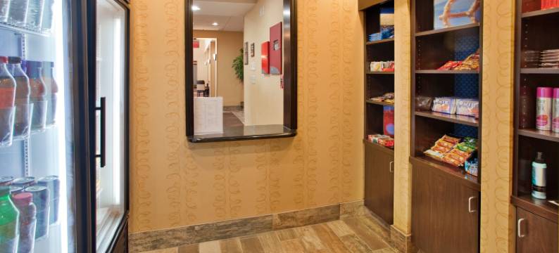 迪金森欢朋套房酒店(Hampton Inn & Suites Dickinson)图片