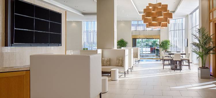 格林威广场休斯顿希尔顿逸林酒店(DoubleTree by Hilton Hotel Houston - Greenway Plaza)图片