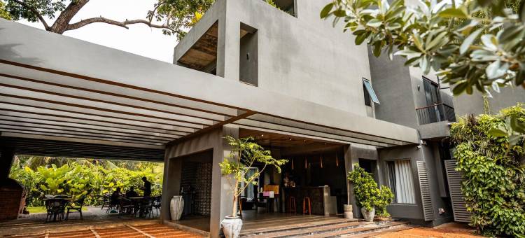 波希米亚巢穴(Bohemian Nest)图片