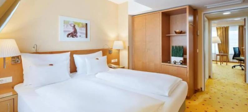 伊贝尔城维也纳美泉宫(Ibercity Wien Schönbrunn)图片