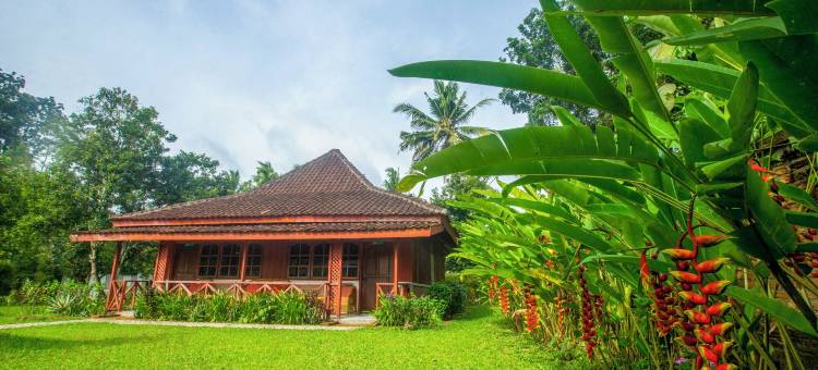 沙瓦大象生态小屋(The Satwa Elephant Ecolodge)图片