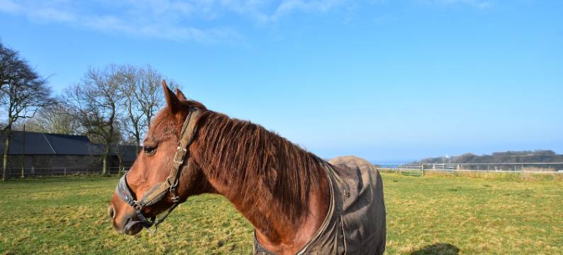 Holiday Home in Normandy near the Sea图片