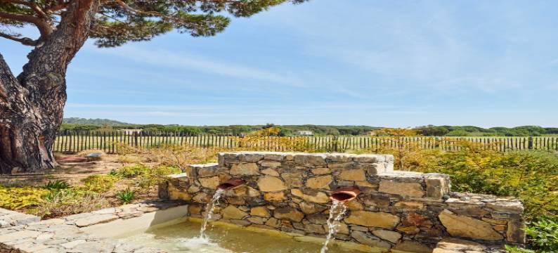 Magnificent villa - AC- 5BR-12P- Ramatuelle图片