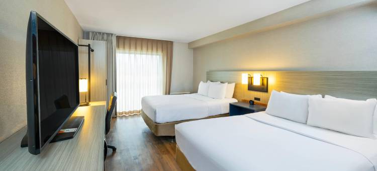 舒适酒店(Comfort Inn)图片