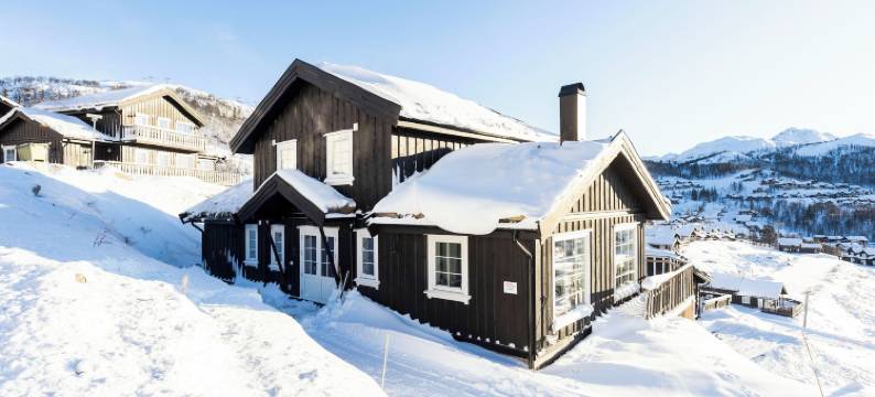 朗兰度假中心酒店(Rauland Feriesenter)图片