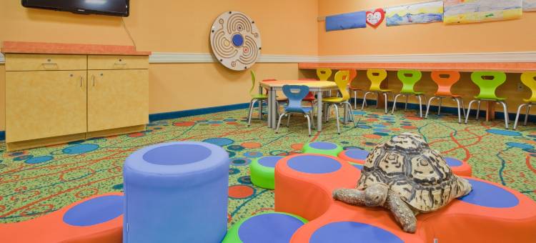 Holiday Inn & Suites 维吉尼亚海滩- 北滩(Holiday Inn & Suites Virginia Beach - North Beach)图片