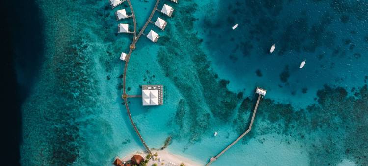 马尔代夫图杜福史钻石度假村及水疗中心(Diamonds Thudufushi Maldives Resort & SPA)图片