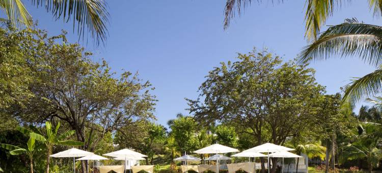 阿祖酒店和度假村(Azul Hotel & Retreat)图片