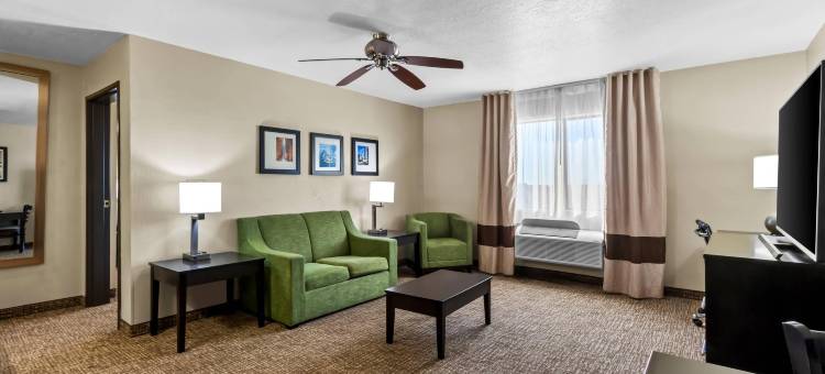 惊喜品质酒店及套房-近太阳城西(Comfort Inn & Suites Surprise Near Sun City West)图片