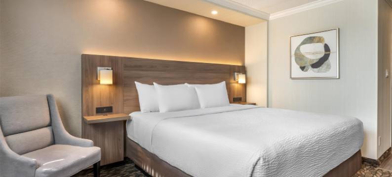 卡尔顿广场贝斯特韦斯特优质酒店(Best Western Plus Carlton Plaza Hotel)图片