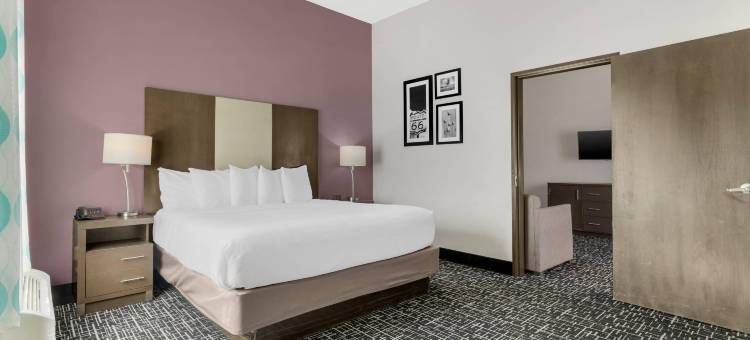 舒适套房酒店(Comfort Inn & Suites)图片