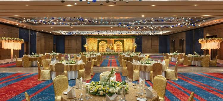班加罗尔怀特菲尔德喜来登大酒店及会议中心(Sheraton Grand Bengaluru Whitefield Hotel & Convention Center)图片
