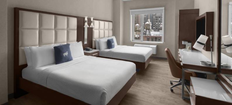 纽约-切尔西坎布里亚酒店(Cambria Hotel New York - Chelsea)图片