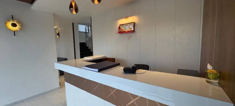 辛杜行政住宿(Executive Sindu Lodging)图片