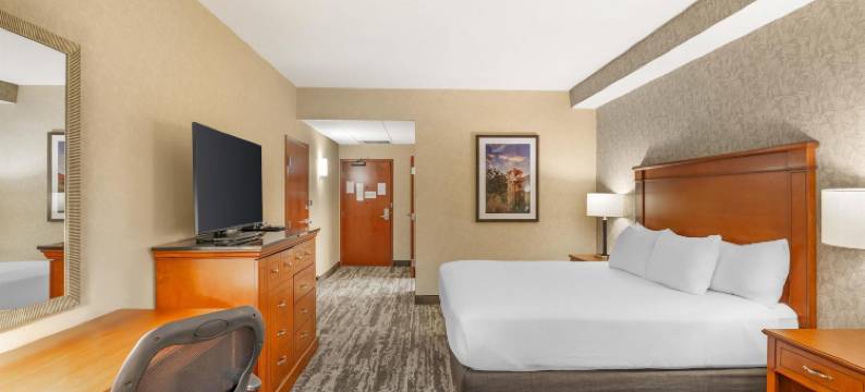 Drury Plaza 酒店圣路易斯布伦特伍德(Drury Plaza Hotel St Louis Brentwood)图片