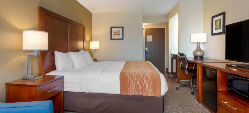 威尔克斯巴里竞技场舒适套房酒店(Comfort Inn & Suites Wilkes Barre - Arena)图片