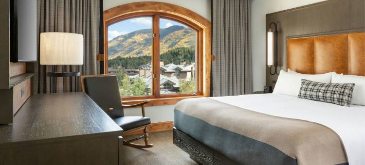 韦尔海斯豪华精选度假村(The Hythe, a Luxury Collection Resort, Vail)图片