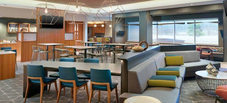 万豪春丘田纳西阿灵顿酒店(SpringHill Suites Arlington TN)图片