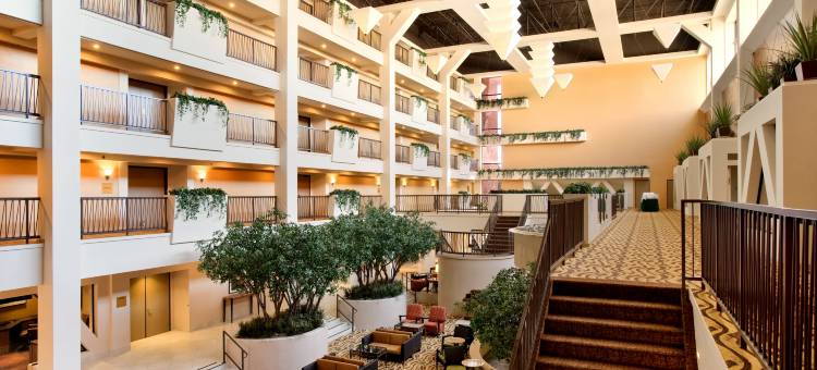 斯托克顿希尔顿酒店(Hilton Stockton)图片