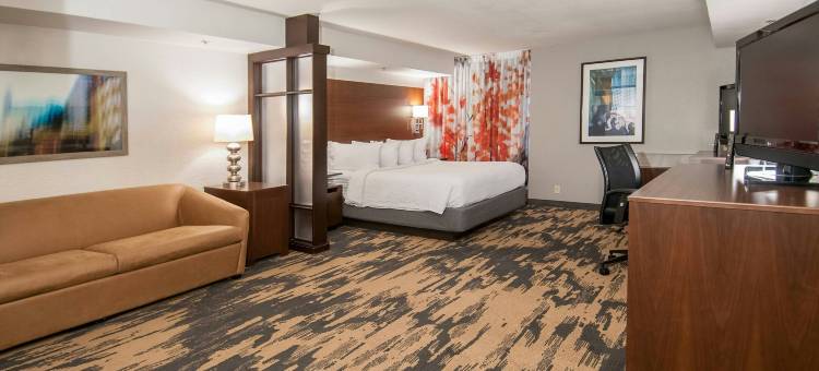 欧文/达拉斯DFW机场南万枫酒店及套房(Fairfield Inn & Suites Dallas DFW Airport South/Irving)图片