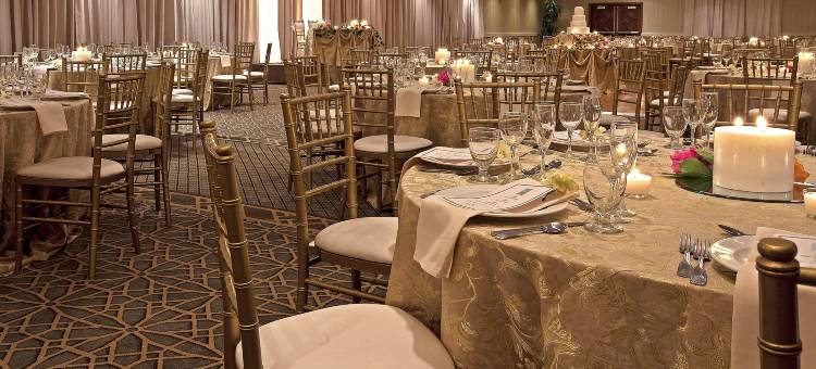 芝加哥绍姆堡伍德菲尔德希尔顿安泊酒店(Embassy Suites by Hilton Chicago Schaumburg Woodfield)图片