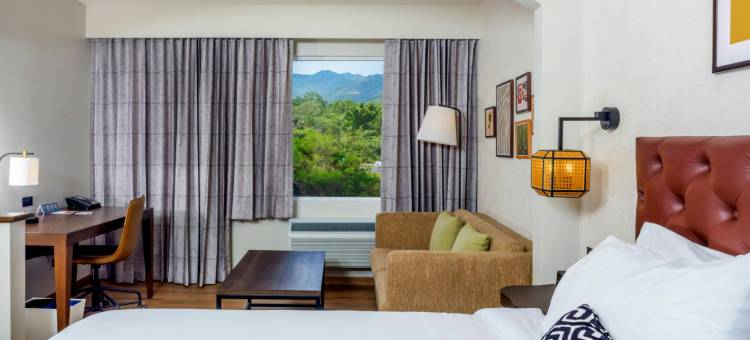 福朋喜来登酒店-圣何塞-哥斯达黎加(Four Points by Sheraton San Jose Costa Rica)图片