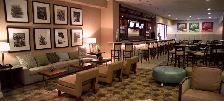 圣路易斯西港逸林酒店(DoubleTree by Hilton Hotel St. Louis - Westport)图片