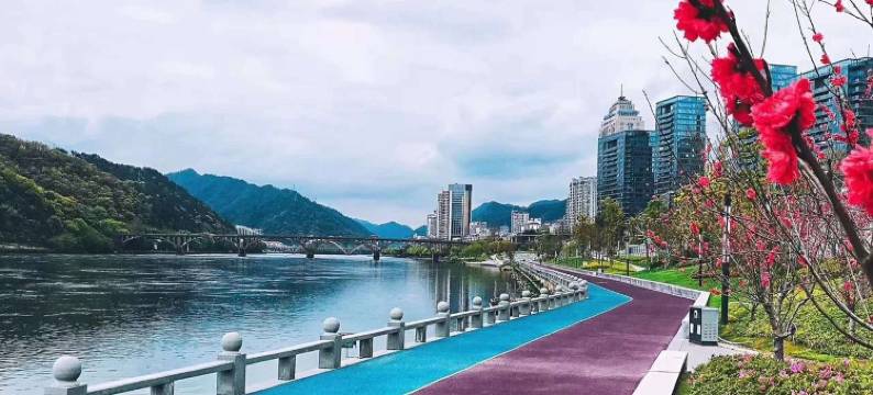 建德莱茵四季酒店图片