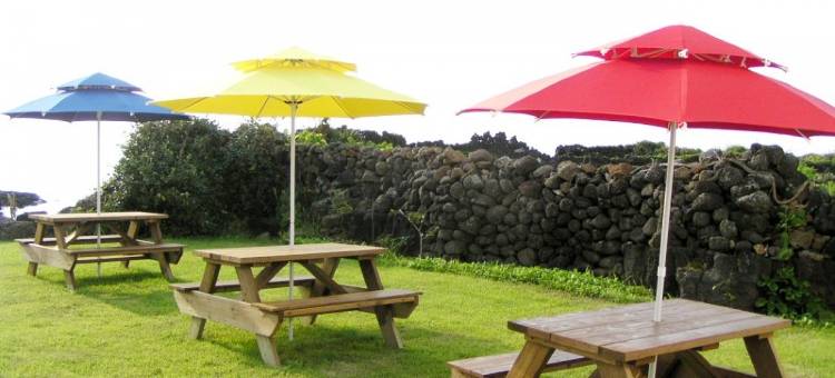 济州沃利永舒适度假屋(Jeju Wolyeong Cozy Pension)图片