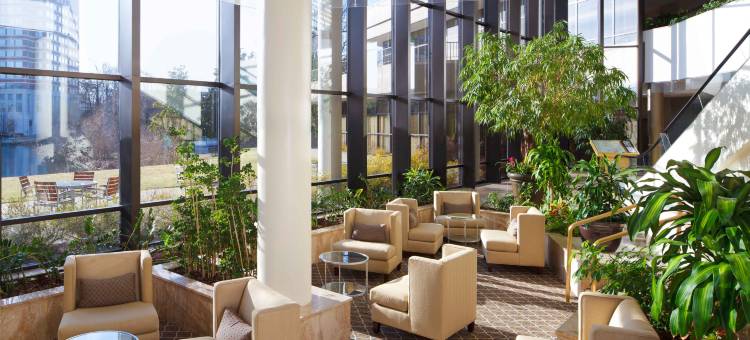 亚历山德里亚马克中心希尔顿酒店(Hilton Alexandria Mark Center)图片
