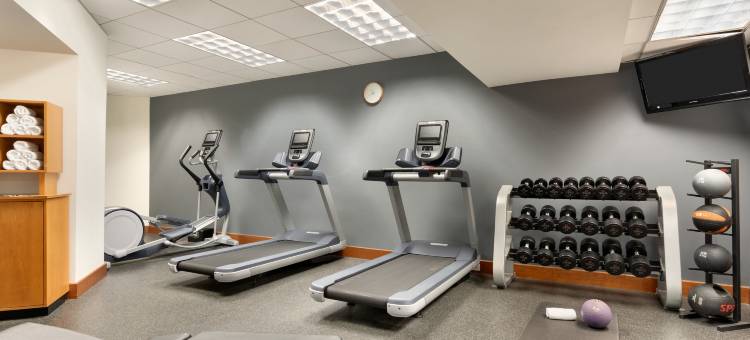 泰森斯角希尔顿花园酒店(Hilton Garden Inn Tysons Corner)图片