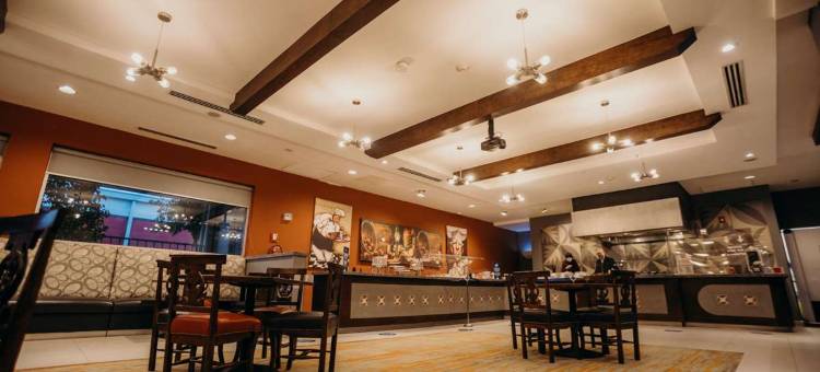 阿来萨沙露伊斯饭店(Hotel Araiza San Luis R.C.)图片