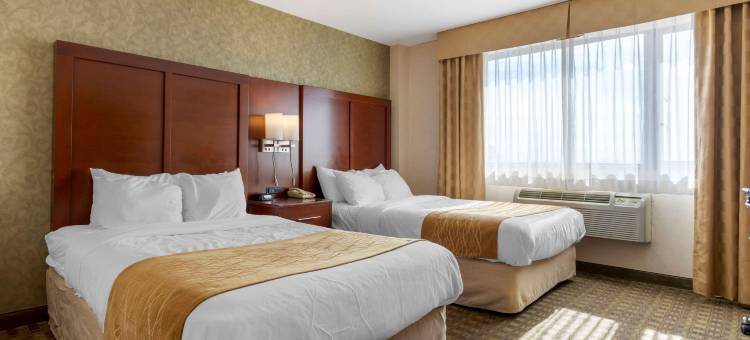 Comfort Inn Brooklyn图片