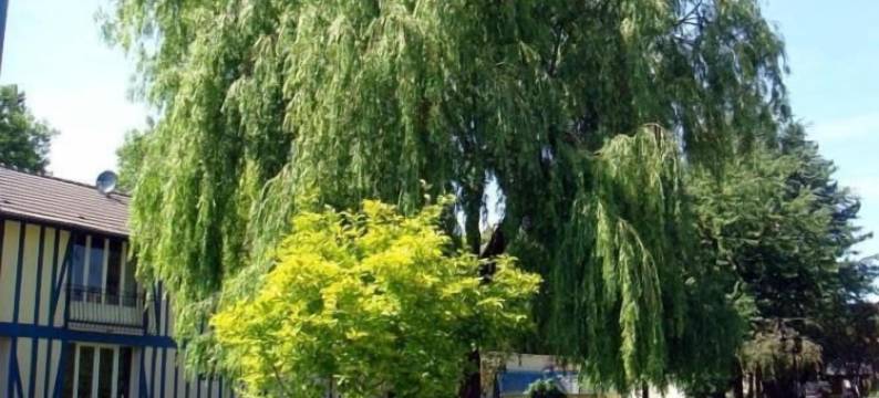 威罗丝酒店(Les Wyllos)图片